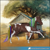 Horse Color:Painted Chocolate Brown Tobiano 