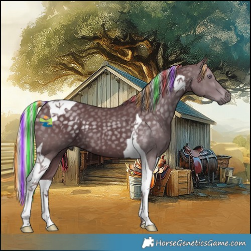 Horse Color:Painted Chocolate Silver Black Chinchilla Tobiano 