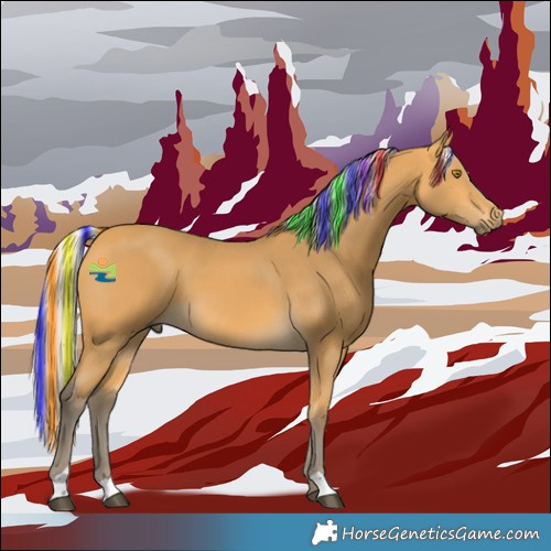 Horse Color:Painted Silver Buckskin 