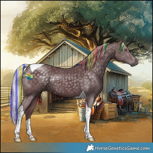 Horse Color:Platinum Painted Chocolate Silver Black Chinchilla Tobiano Rabicano 
