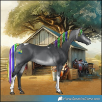 Horse Color:Platinum Painted Silver Bay Chinchilla Tobiano Rabicano 