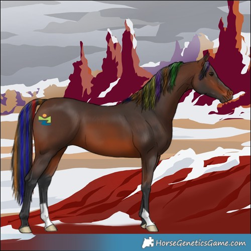 Horse Color:Painted Brown