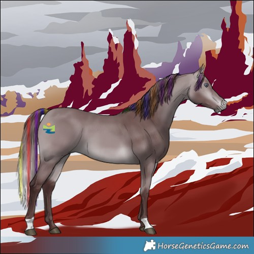 Horse Color:Painted Chocolate Bay Chinchilla 