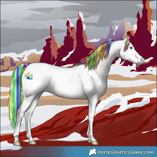 Horse Color:Painted Palomino Chinchilla 