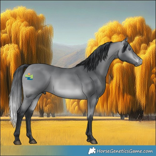 Horse Color:Bay Chinchilla 