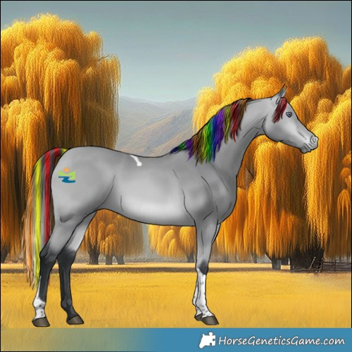 Horse Color:Painted Bay Chinchilla Tobiano 