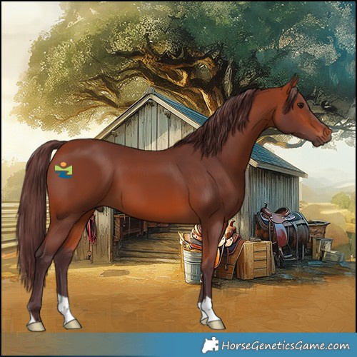 Horse Color:Chocolate Bay 