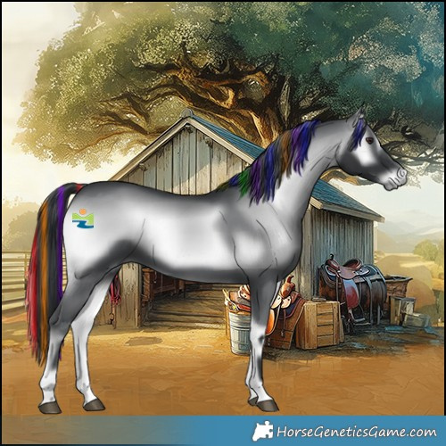 Horse Color:Platinum Painted Blue Onyx Chinchilla 