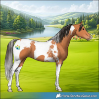 Horse Color:Bay Tobiano 