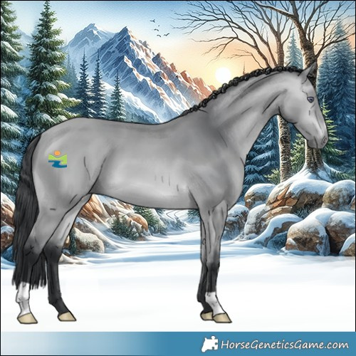 Horse Color:Bay Chinchilla 