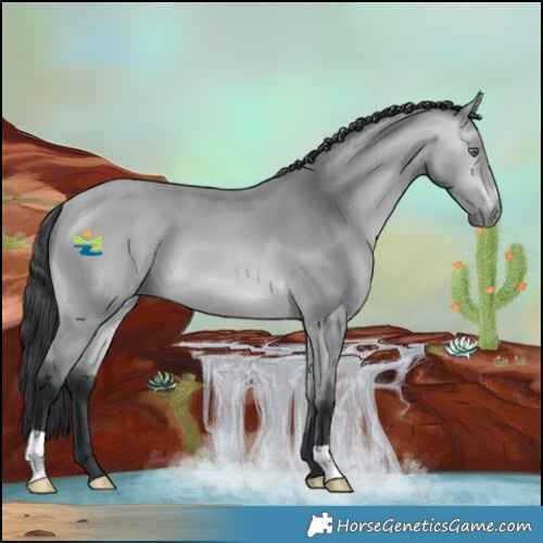 Horse Color:Bay Chinchilla 