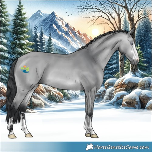Horse Color:Bay Chinchilla 