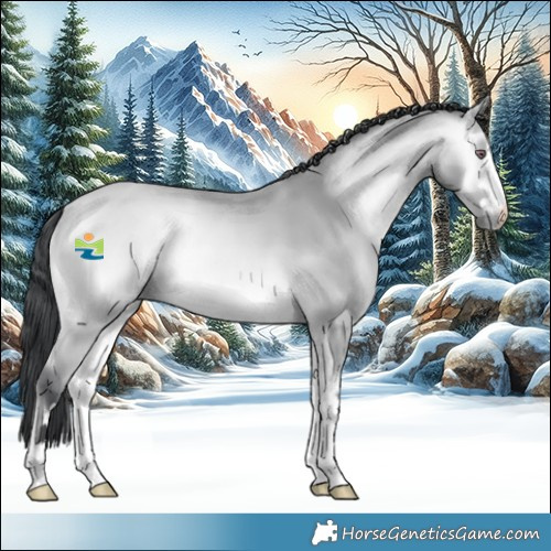 Horse Color:Bay Chinchilla Onyx 