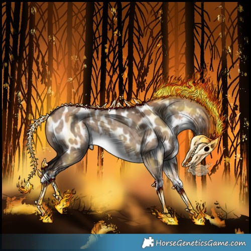 Horse Color:White Spotted Silver Brown Dun Appaloosa