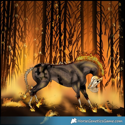 Horse Color:Void White Spotted Silver Brown Dun Appaloosa 