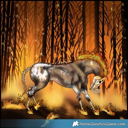 Horse Color:Bay Dun Tobiano Appaloosa 