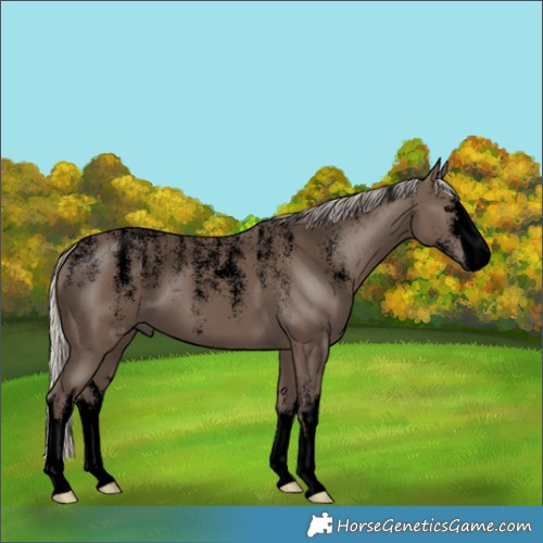Horse Color:Powder White Void White Spotted Silver Black 