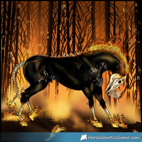 Horse Color:Void Grullo Splash Tobiano Appaloosa