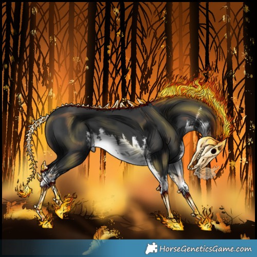 Horse Color:White Spotted Black