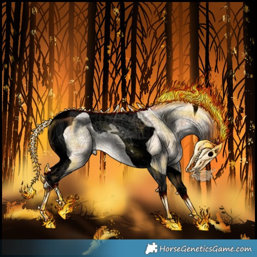 Horse Color:Void Silver Smoky Grullo Ice Pearl Tobiano