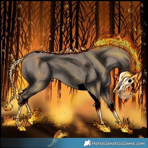 Horse Color:Void White Spotted Silver Grullo Tobiano Rabicano 