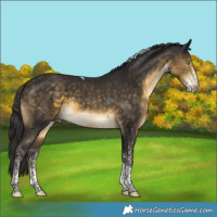 Horse Color:White Spotted Buckskin Tobiano