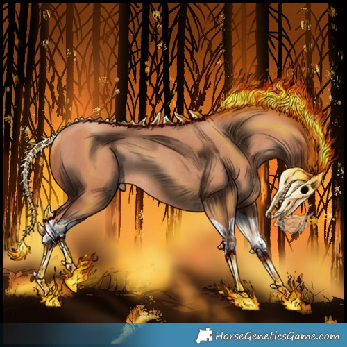 Horse Color:Silver Sable Champagne Splash Rabicano 