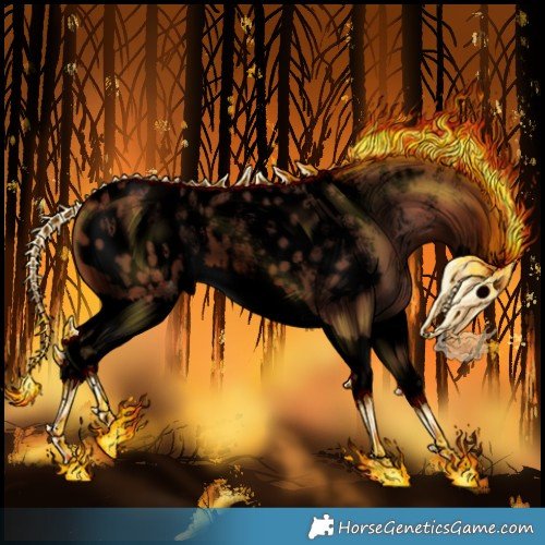 Horse Color:Powder White Void Silver Brown Splash Appaloosa 