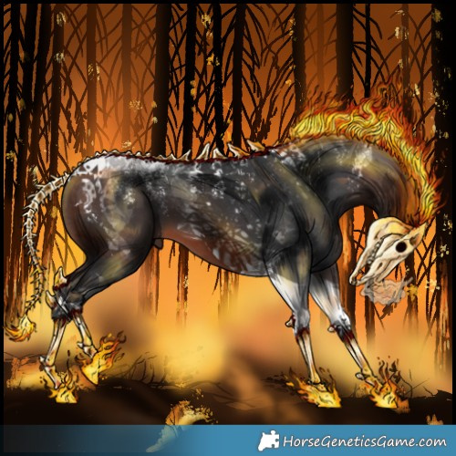 Horse Color:Powder White Brown Tobiano