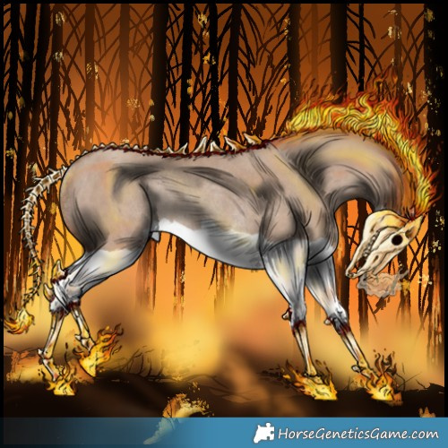 Horse Color:Classic Champagne Dun Splash Rabicano 