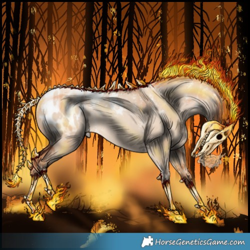 Horse Color:Powder White Gold Champagne Dun Appaloosa Rabicano 