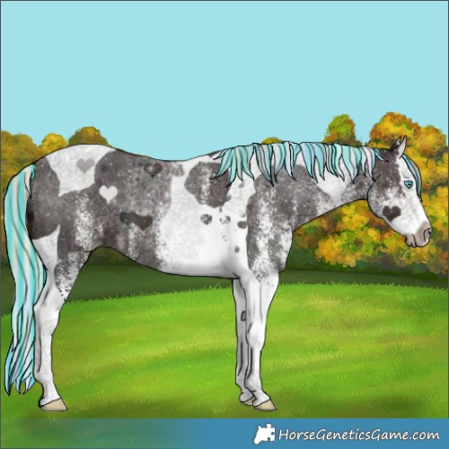Horse Color:Painted Nacre White Spotted Midnight Silver Brown Ice Splash Tobiano 