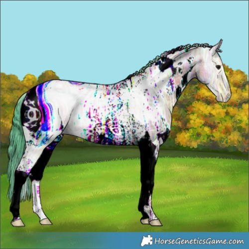 Horse Color:ERROR: UNKNOWN ANOMALY