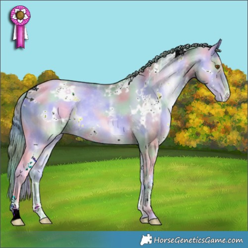 Horse Color:ERROR: UNKNOWN ANOMALY