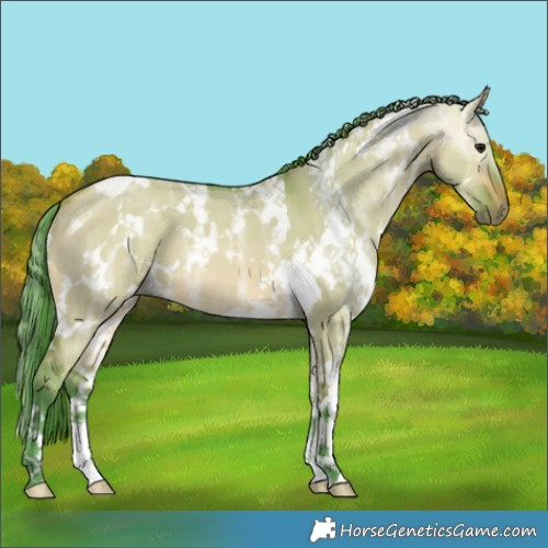Horse Color:Watercolor White Spotted Bay Ice Dun 