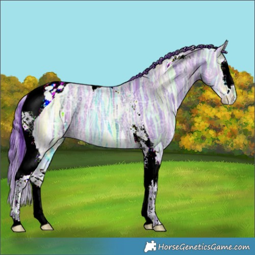 Horse Color:Watercolor Brown Ice Splash Tobiano 