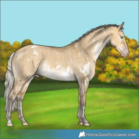 Horse Color:White Spotted Silver Sable Cream Champagne Dun Rabicano Brindle