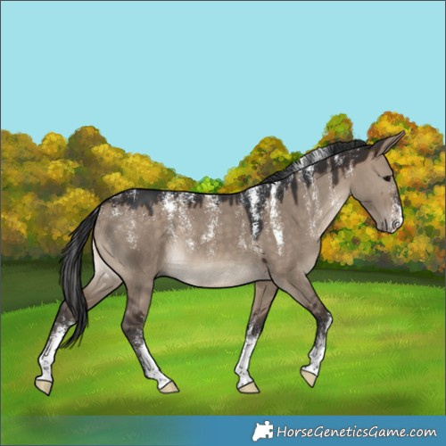 Horse Color:Powder White Brown Dun 