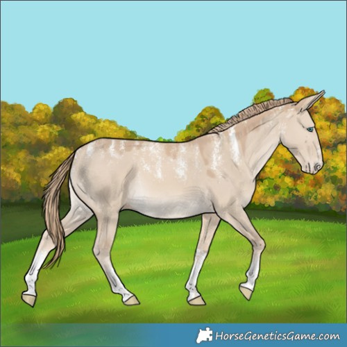 Horse Color:Powder White Smoky Creme Dun 