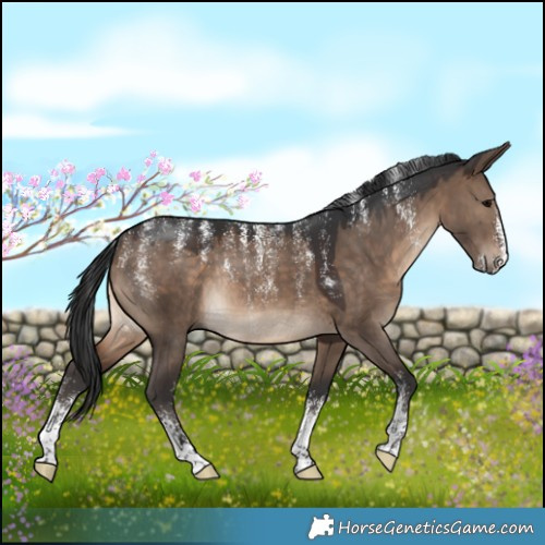 Horse Color:Powder White Brown Dun Rabicano 