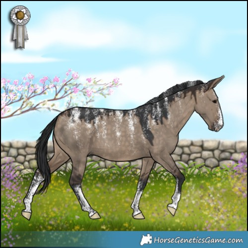 Horse Color:Powder White Brown Dun 