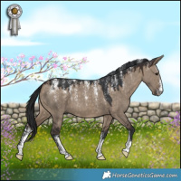 Horse Color:Powder White Brown Dun