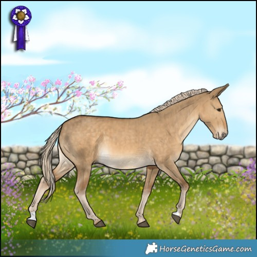 Horse Color:Chocolate Palomino Dun Brindle 