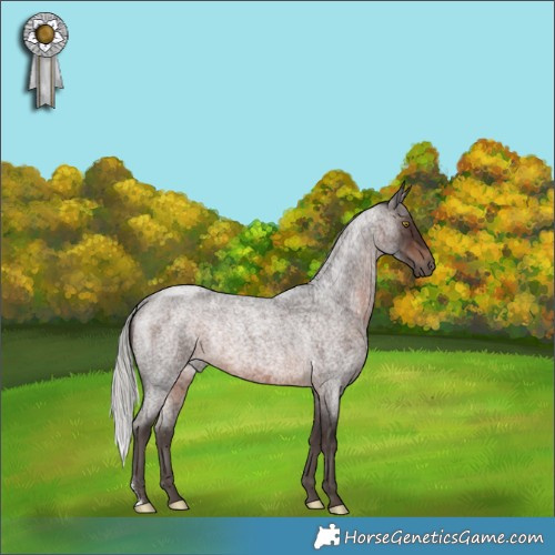 Horse Color:Silver Brown Roan Rabicano 