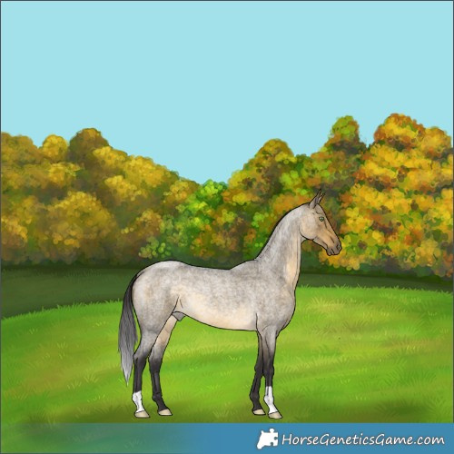 Horse Color:Buckskin Roan Dun Rabicano Brindle 