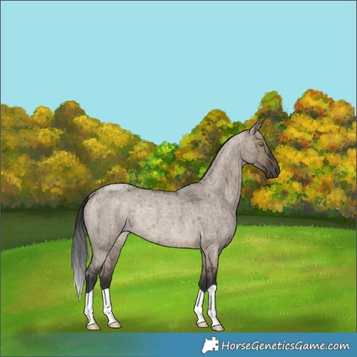 Horse Color:Brown Roan Dun Rabicano Brindle