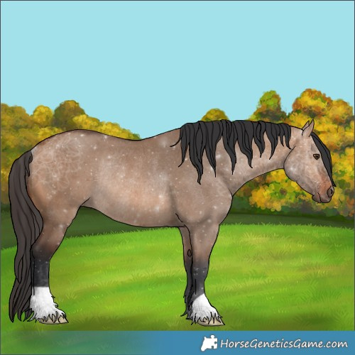 Horse Color:Bay Dun Rabicano 