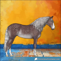 Horse Color:Chocolate Silver Black Chinchilla Rabicano 
