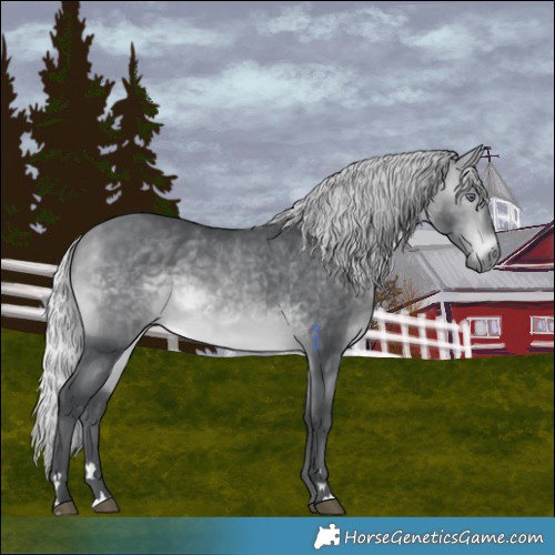 Horse Color:Silver Bay Chinchilla