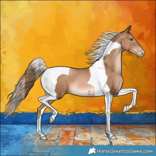 Horse Color:Liver Chestnut Pearl Tobiano 